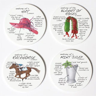 Derby Anatomy Coasters