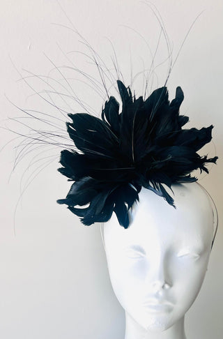 Harvey Fascinator