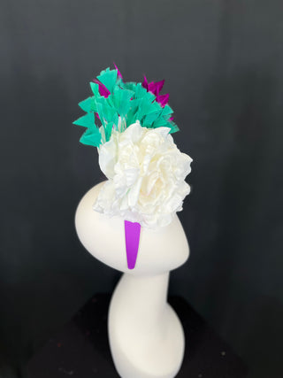 Alex Fascinator