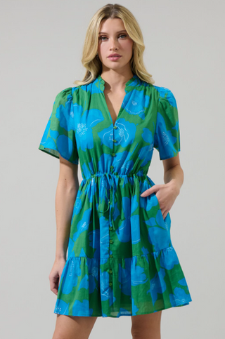 Rori Dress