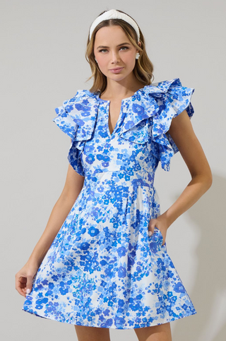 Carli Dress