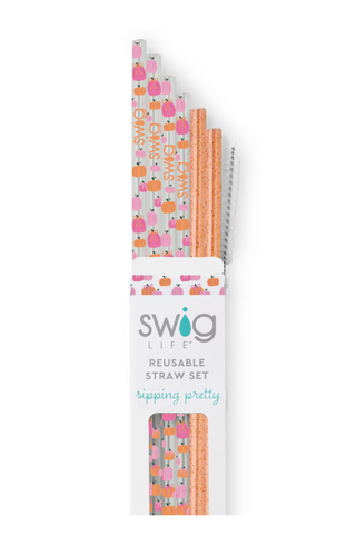 Pumpkin and Bows Reusable Straw Set