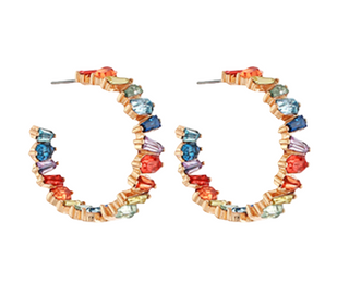 Carrie Earrings Multi